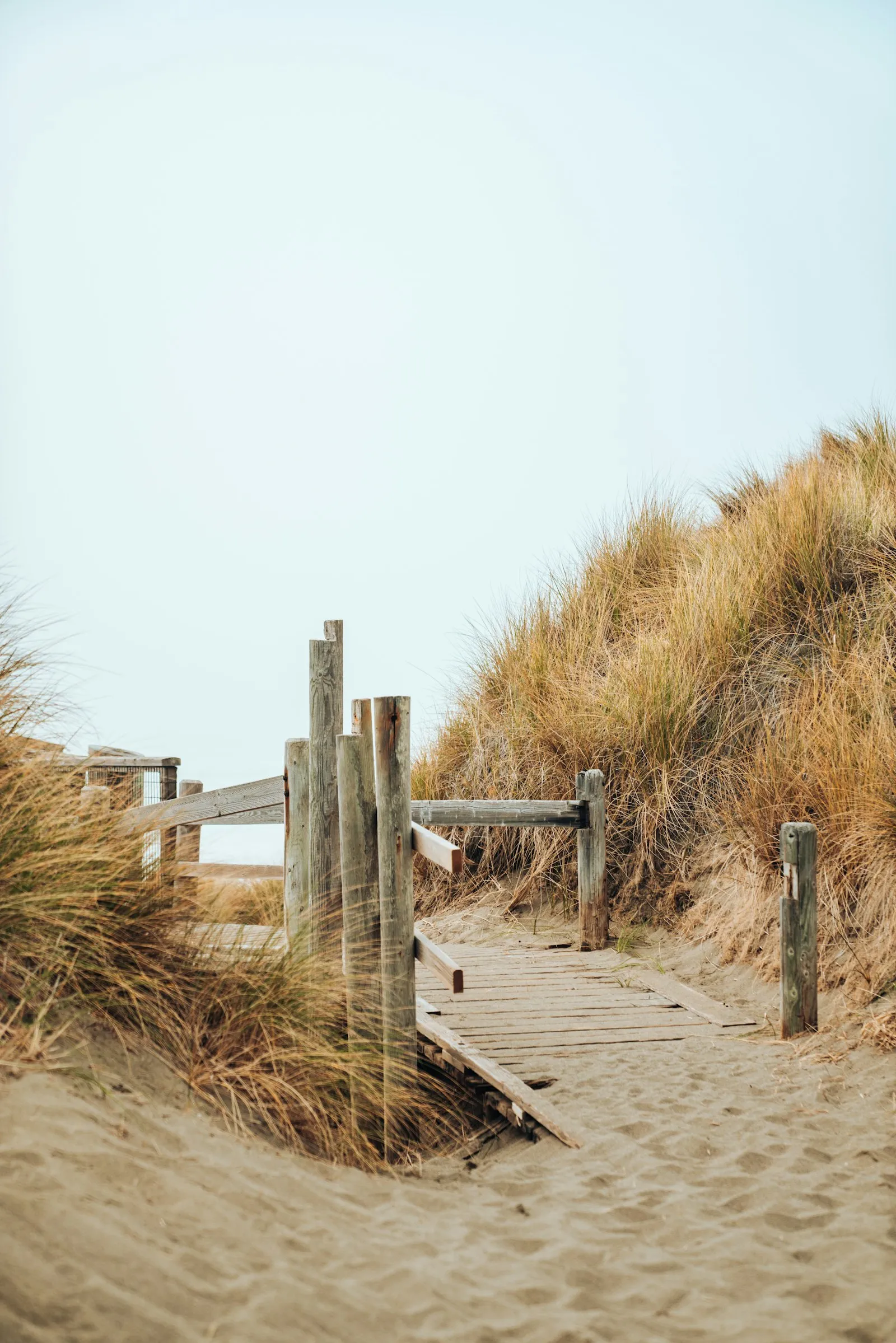 A wooden boardwalk winding through grass toward the shore.